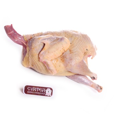 Replace this paragraph!