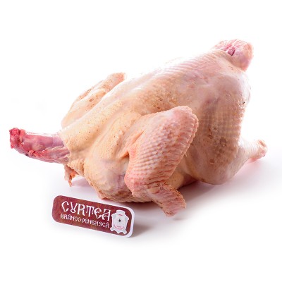 Replace this paragraph!