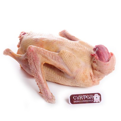 Replace this paragraph!