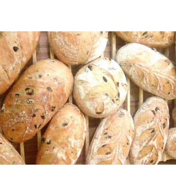 PAINE INTERMEDIARA/INTEGRALA CU MAIA 500G