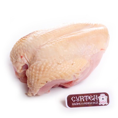 Replace this paragraph!