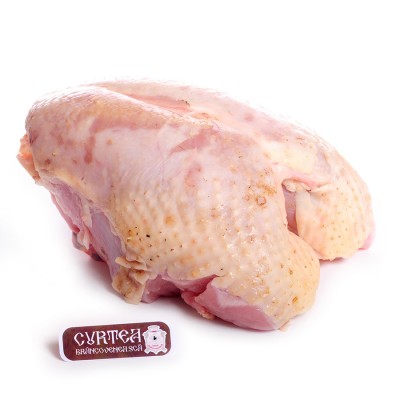 Replace this paragraph!