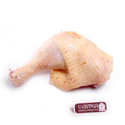 Replace this paragraph!