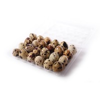 OUA PREPELITA CASEROLA 24BUC-PAUN