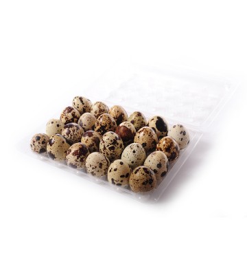 OUA PREPELITA CASEROLA 24BUC-PAUN