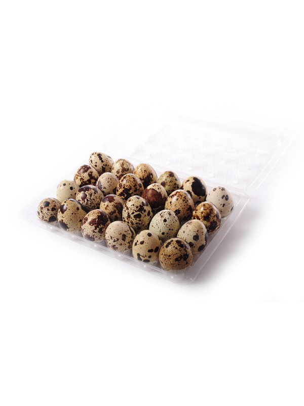 OUA PREPELITA CASEROLA 24BUC-PAUN