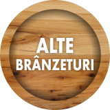 Alte branzeturi