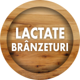 LACTATE SI BRANZETURI